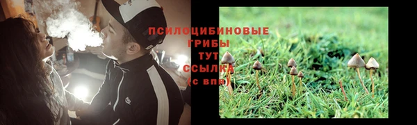 амф Нягань