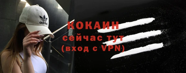 тгк Абаза