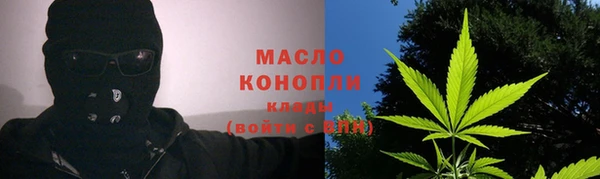 тгк Абаза