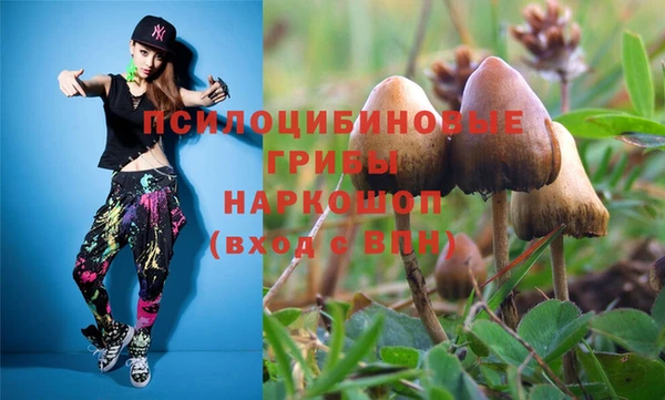 тгк Абаза